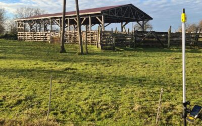 Mapa do celów projektowych – czym jest i kiedy jest potrzebna?