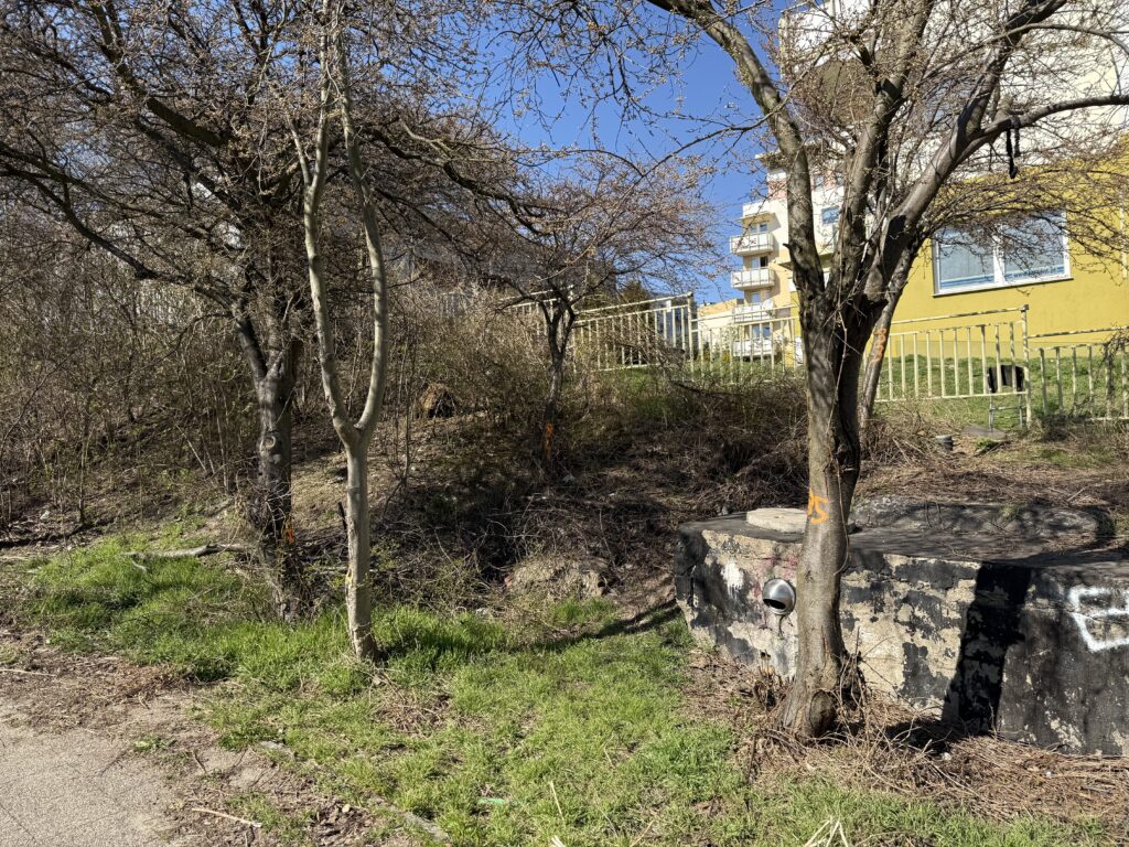 Teren zielony przy zabudowie mieszkaniowej z oznaczeniami geodezyjnymi na drzewach oraz elementem infrastruktury technicznej – przygotowanie do pomiarów i opracowania mapy.